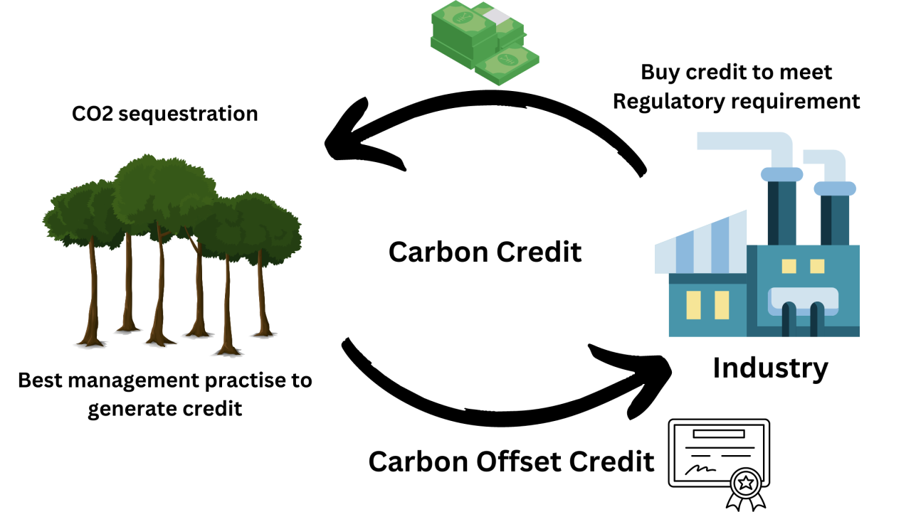 Carbon Credit Trading